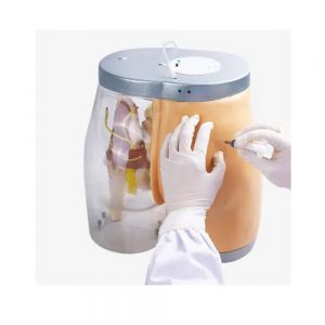 Buttock intramuscular injection medical teaching model: precise injection, a key tool for effective efficacy